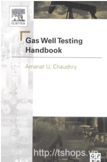 Gas Well Testing Handbook [Hardcover]