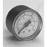 FIK PRESSURE GAUGE P171956