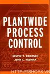 Plant-Wide Process Control (Wiley Series in Chemical Engineering)